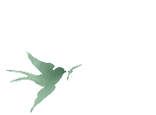 花開憶清明，傳承潤(rùn)童心——?？谑猩礁哂變簣@2025年清明節(jié)主題活動(dòng)-圖片75