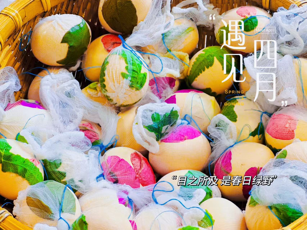 花開憶清明，傳承潤(rùn)童心——?？谑猩礁哂變簣@2025年清明節(jié)主題活動(dòng)-圖片57