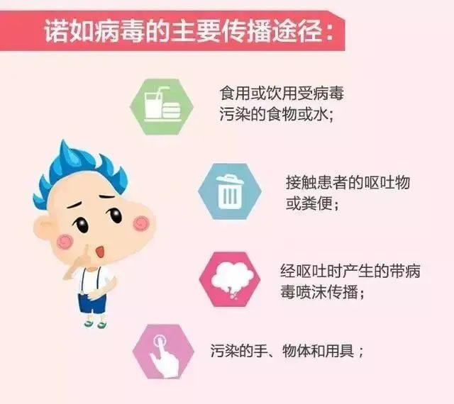 預(yù)防諾如病毒，筑牢校園防線——?？谑猩礁哂變簣@開展“預(yù)防諾如病毒”專項(xiàng)系列行動(dòng)-圖片45