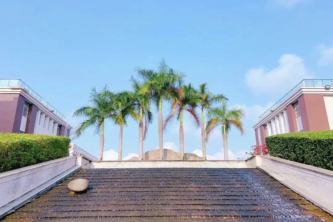 悅伴成長  家長學(xué)堂  |  ?？谏礁咧袑W(xué)優(yōu)秀家長育子心得分享（第53期）-圖片8
