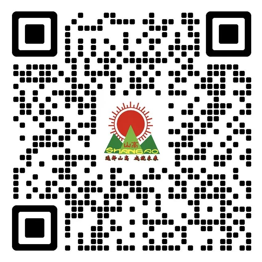 小小路隊(duì)長 擔(dān)當(dāng)大責(zé)任——?？谏礁邔W(xué)校2025年秋季路隊(duì)長專題培訓(xùn) !-圖片2
