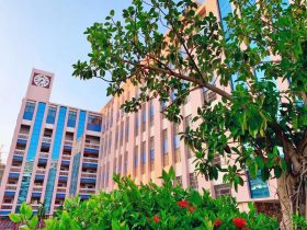 【國培計(jì)劃2025】聚焦數(shù)字化創(chuàng)新，打造智慧化課堂——海南省中小學(xué)教育集團(tuán)數(shù)字化轉(zhuǎn)型學(xué)科骨干教師數(shù)字化教學(xué)創(chuàng)新能力提升培訓(xùn)