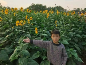 “春暖花開憶清明 習俗傳承潤童心”——定安縣山高學校小學部清明節(jié)主題系列活動